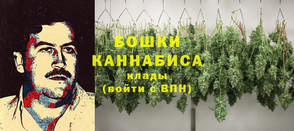 сатива Валдай