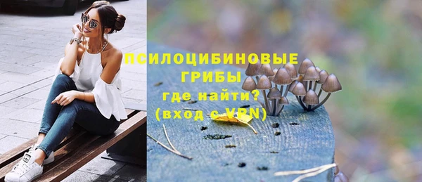 гидропоника Няндома