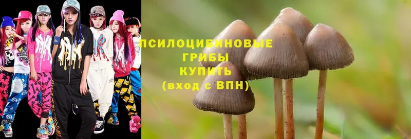 MEGA рабочий сайт  где продают наркотики  Островной  Псилоцибиновые грибы Magic Shrooms 